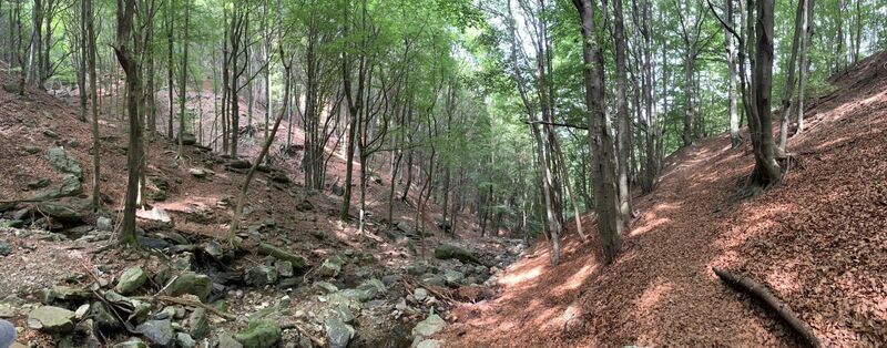 Foto de Koen De Wit a lo largo del recorrido
