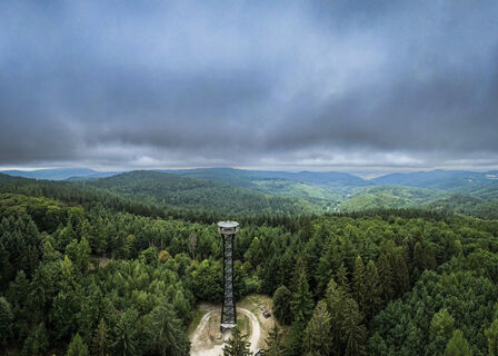 Teltschickturm: Ausblick über den Odenwald und Rheintal