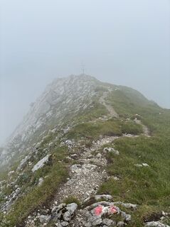 Foto von Michael Schuller entlang der Tour