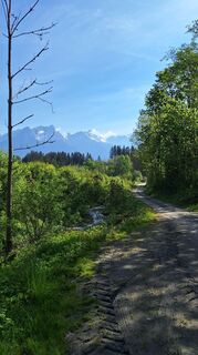 Photo de Matej Mikus 1 le long du parcours