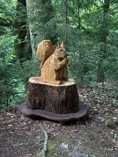 Zauberwald_Eichkätzchen_Oststeiermark
