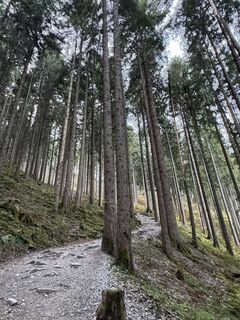 Foto de Denise Miller a lo largo del recorrido