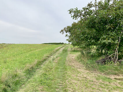 Wunderbergtour, Auersthal