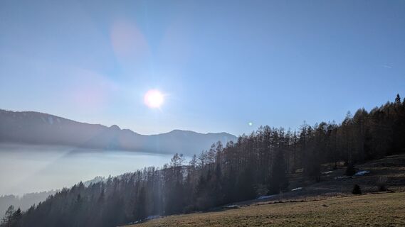 Foto von Ziegler Em1304 entlang der Tour