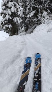 Foto från Nozzo under resans gång