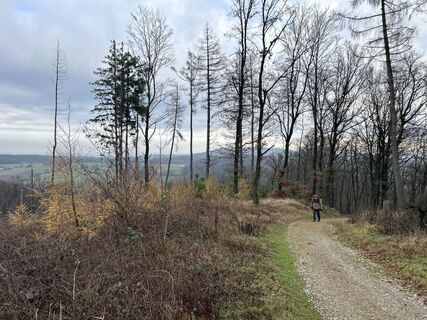Zdjęcie z Rolf Tiemeyer wzdłuż trasy