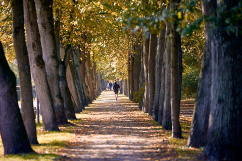 muenster-promenade-04