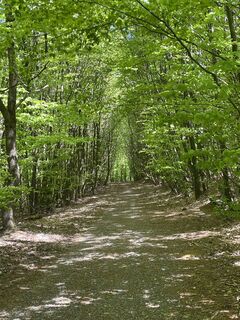 Photo de Sanca le long du parcours