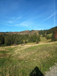 Photo de Bettina Miller 1 le long du parcours