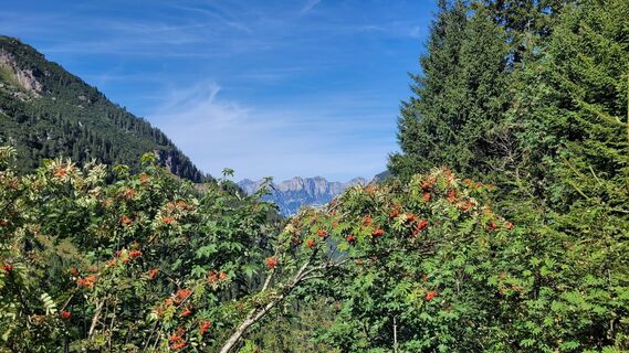 Foto von deniuru entlang der Tour