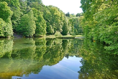 Karlsbergweiher im Waldpark Schloss Karlsberg - ein Garten mit Geschichte
