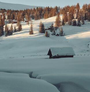 Stadl im Laussnitztal
