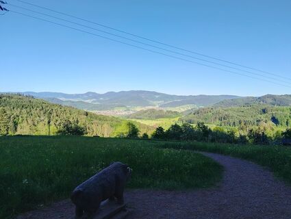 Foto von DANIEL FRISCH entlang der Tour