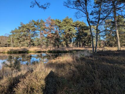 Photo de Matje Derks le long du parcours
