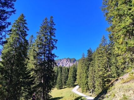 Foto von Joe Achermann entlang der Tour