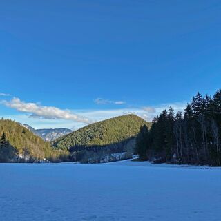 Hollensteinrunde - spazieren mitten in der Natur