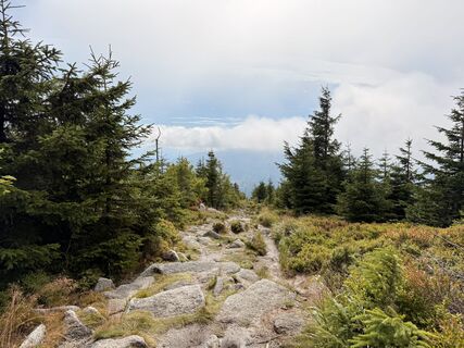 Photo de Dani Geiger / Natur_erleben_dg le long du parcours