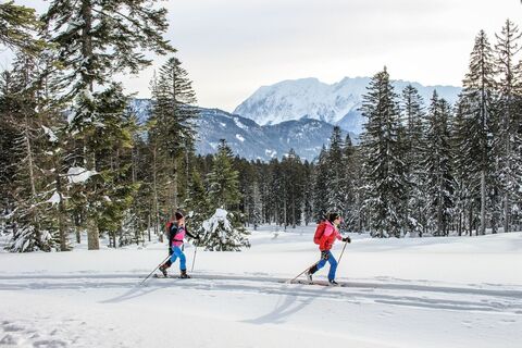 Skitour auf den Scheiblingtragl