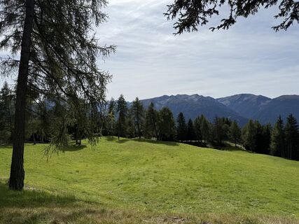 Foto från Frank de Vries under resans gång