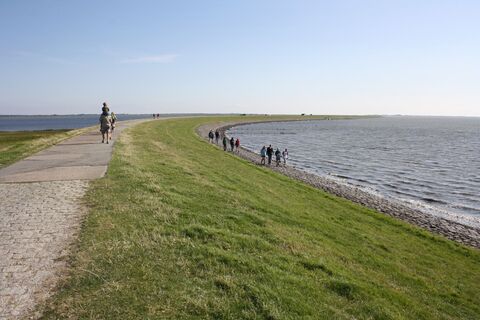 Zemljevid
