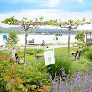 Radfahrer am Donauradweg in Tulln