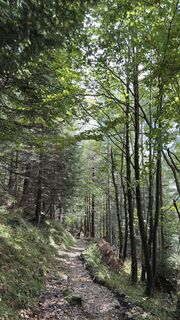 Fotografie de la Horst-Dieter Lutz de-a lungul turului