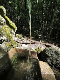 Zdjęcie z Katja B. wzdłuż trasy