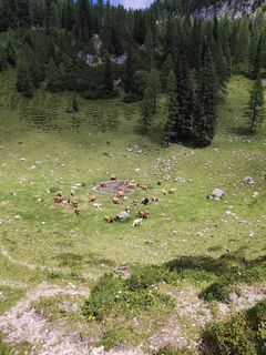 Fotografie z Jani Verdev na trase