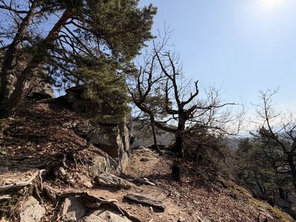 Fotografija s spletne strani Gerhard Piglmann na poti