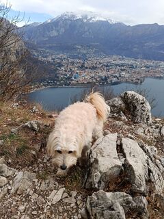 Fotografija s spletne strani michael Wolfger na poti