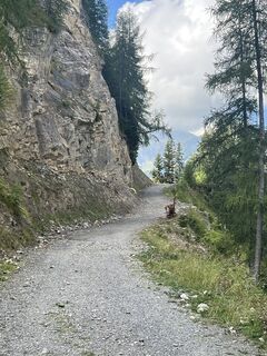 Foto från Karl Heinz Fick under resans gång