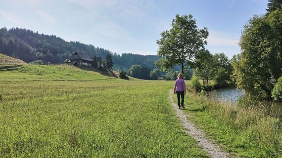 Wir wandern entlang der Pöls