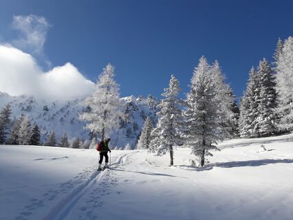 im Bereich der Steiner Alm
