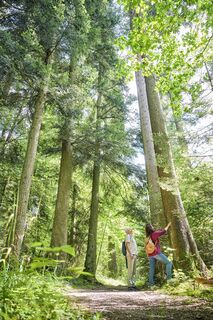 Wandern am Fuxi-Naturerlebnis-Pfad