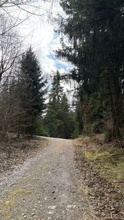 Photo de Peter Zabransky le long du parcours
