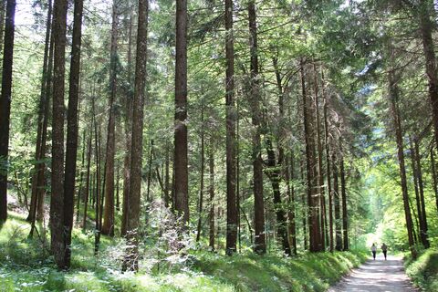 Naturpfad des Conceitales