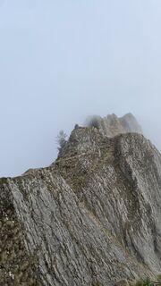 Foto von Topala Ion entlang der Tour