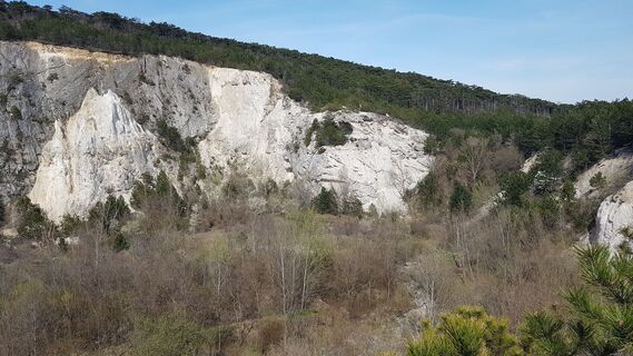 Fotografia z Bernard na trase