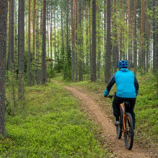 Nadelpfad zur Freilufthütte Lykynlammi