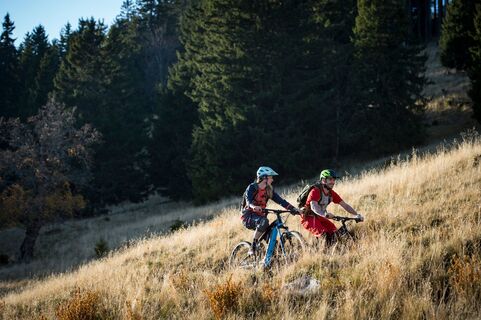 Neustifter Route by Wexl Trails #16