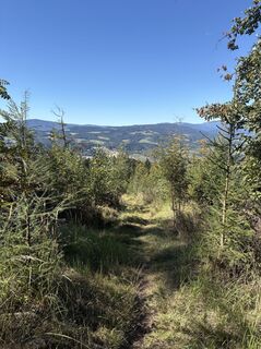 Foto von Reinhard Frewein entlang der Tour