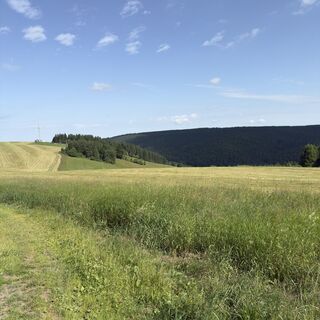Foto von Steffen Kiesel entlang der Tour
