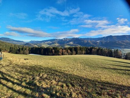 Photo de Johann BENKE le long du parcours