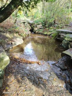 Fotografija s spletne strani Mmizia098 na poti