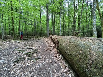 Photo de Volki F. le long du parcours