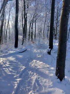 Fotografia z soeren Rennemann na trase