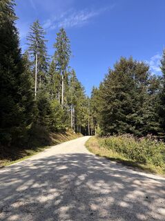 Foto von Heinz Sperl entlang der Tour