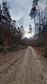 Fotografia z EP87 na trase