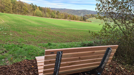 Waldsofa am Kunstwerk "M" am  B7/B8