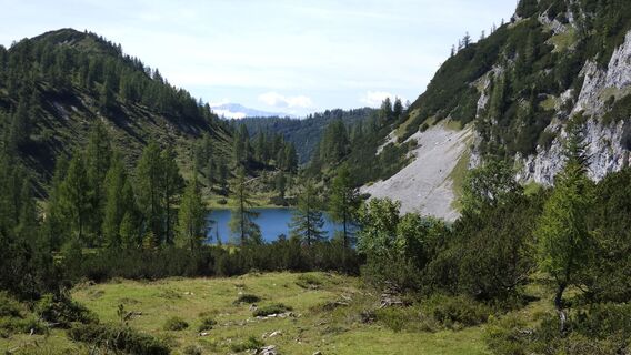 Foto från kriessda under resans gång